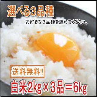 送料無料　白米6kg 選べる３品 お試しセット（２kg×３品＝６kg）