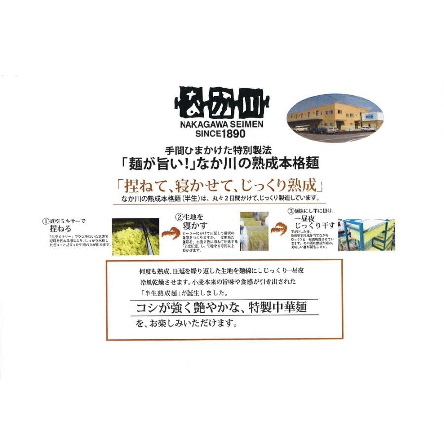 魚介豚骨 もっちり つけ麺 ２食入り ３袋セット たれ付き 濃厚とろみ仕上げ 送料無料 ラーメン 半生熟成麺 瀬戸内麺工房 なか川