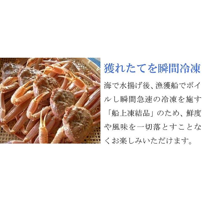 年末 カニ ズワイガニ 2kg 特大 ボイル蟹 足 2キロ ずわいがに ギフト 5Lサイズ 冷凍 北海道加工 脚 本ずわい蟹