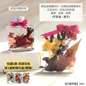 【A-ONE】浮游花DIY花材包 乾果花藝 乾花 天然植物風乾 楓葉 秋葉 繡球花 裝飾擺飾 乾燥花 H41【領券滿額再折千12/31止】