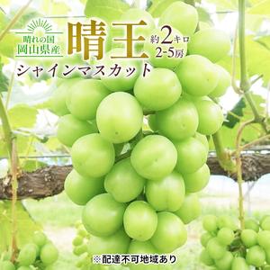 ふるさと納税 ぶどう 2024年 先行予約 シャイン マスカット 晴王 2〜5房入り 合計約2kg 大粒 種無し ブドウ 葡萄  岡山県産 国産 フルーツ 果物 .. 岡山県倉敷市