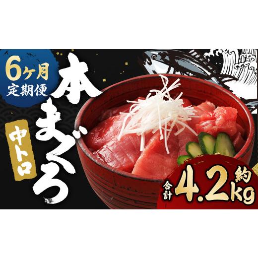 ふるさと納税 長崎県 時津町 長崎県産 本マグロ「中トロ」約700g  生食用