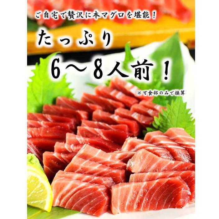 マグロ まぐろ 訳あり 天然本マグロ訳ありトロ 1kg