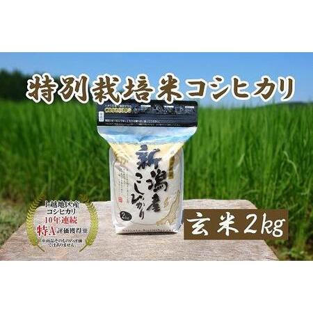 ふるさと納税 令和5年産｜新潟上越三和産｜特別栽培米コシヒカリ（従来種）2kg（2kg×1）玄米 新潟県上越市