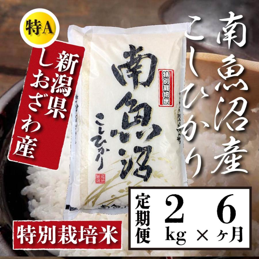  米 2kg 《定期便 6ヶ月》 新潟 南魚沼 塩沢産 コシヒカリ 生産者限定米 令和5年産 