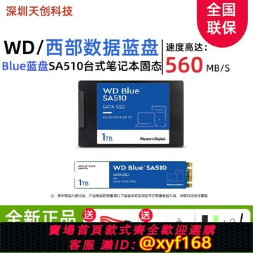 {保固一年 可打統編}西部數據WD SA510 M2 Blue藍盤 1TB 2TB 4TB 全新SSD固態硬盤