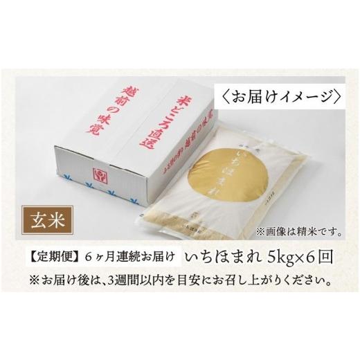 ふるさと納税 福井県 あわら市 定期便6回 いちほまれ 玄米 5kg×6回（計30kg）《新鮮な高品質米をお届け！》／ 福井県産 ブランド米 ご飯