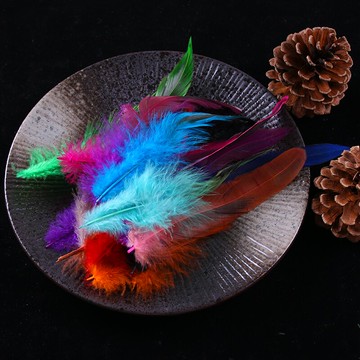1件diy飾品配件羽毛彩色野雞毛羽毛服裝輔料50支1包
