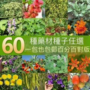 現貨 23款藥材種子大全（100粒） 名貴中藥 藥用種子 多年生 長白山 五指毛桃 藏紅花 洛神花 丹參 黨參 四季種植
