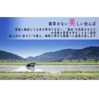 ふるさと納税 若狭町 福井県若狭町コシヒカリ(1等米)10kg　精米全6回