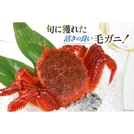 ふるさと納税 ＜先行予約＞かに 三陸産浜ゆで毛ガニ 約500g×2 計1kg [村東商店 宮城県 気仙沼市 20562147] 冷蔵 カニ 毛がに 魚介 海鮮 .. 宮城県気仙沼市