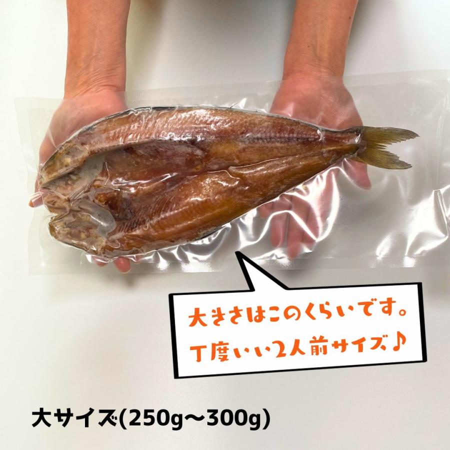 ほっけ 干物 大サイズ(250g〜300g)  醤油干し 山形県産 ホッケ 真ほっけ 無添加 冷凍 一夜干し ギフト