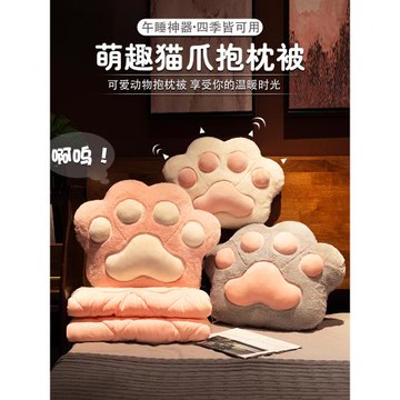 貓爪抱枕被子兩用辦公室午睡枕頭空調毯子二合一午休靠枕車載加厚
