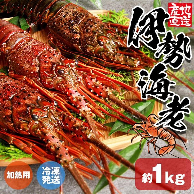 伊勢海老 伊勢エビ いせえび 伊勢 海老 えび エビ 冷凍 1kg 1キロ 100g ...