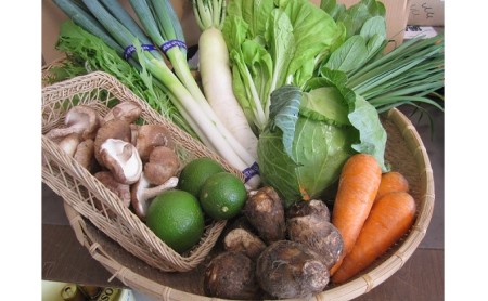 定期便 野菜セット 年4回 春夏秋冬 おまかせ 10～15種 旬 朝倉市産 配送不可 離島