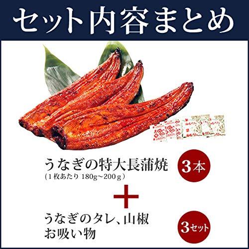 うなぎのたなか 敬老の日 プレゼント 国産うなぎ 蒲焼き 老舗 ギフトランキング入り 関東風 うなぎ ギフト グルメ ギフト 贈り物 お祝い 誕