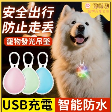 💖寵物發光吊墜 寵物吊飾 狗狗吊墜 寵物頸圈掛件 狗狗外出吊墜 狗狗項圈掛件 防走丟 小狗夜間吊墜 遛狗燈 狗狗生活用品