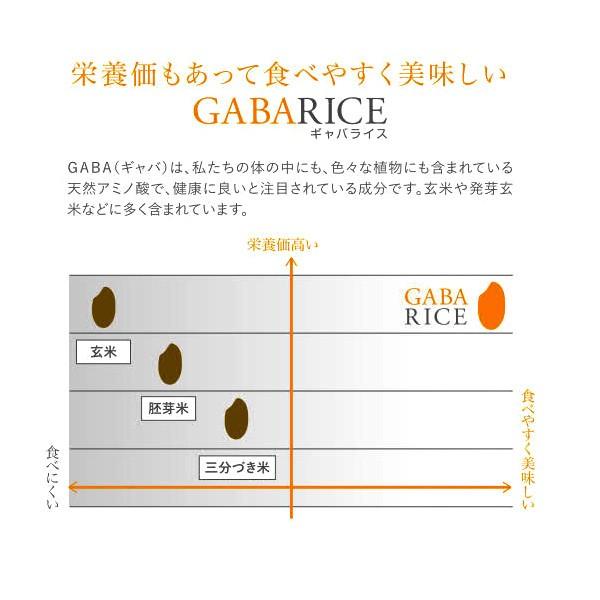 GABA RICE 玄米 きぬむすめ 300g