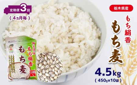  栃木県産もち絹香 もち麦 (450g×10袋) 3回定期 (4ヶ月毎)