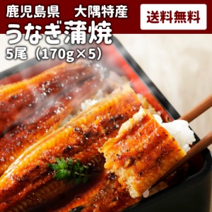  鹿児島 ウナギ かば焼き 蒲焼 鰻 送料無料 冷凍 父の日 母の日 ギフト 母の日 父の日 お中元 お歳暮 ギフト