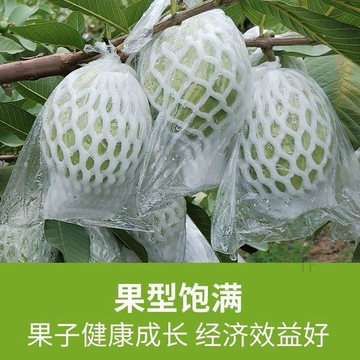 🌐台灣出貨🌞甄選好物🧲番石榴網套專用袋水果防蟲防果蠅泡沫網袋一體袋芭樂保護袋薄膜袋