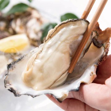 生猛半殼生蠔(400公克/5顆)【3包免運】