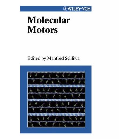 Molecular Motors