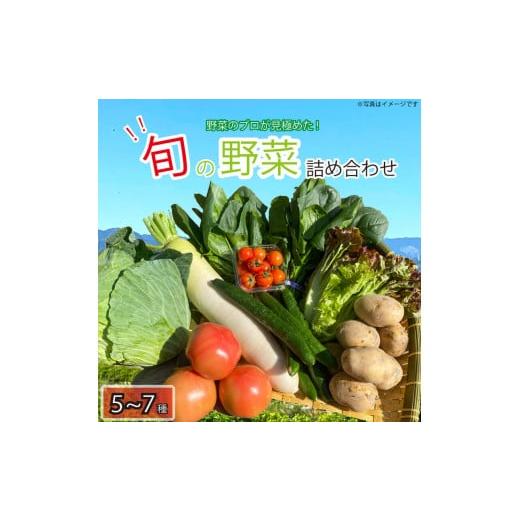 ふるさと納税 徳島県 阿波市 野菜 お楽しみ 5~7品目 詰め合わせ 阿波市 徳島県