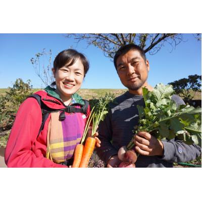 ふるさと納税 下妻市 農園自慢の情熱野菜セット9品(種類おまかせ)