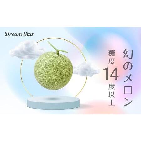 ふるさと納税 さぬきメロン Dream Star 1.3kg以上 香川県坂出市