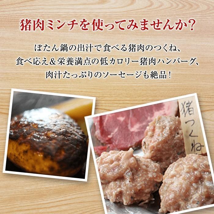 猪肉 ジビエ 熟成 粗挽き上ミンチ脂入り 500g 広島県産 備後地方 いのしし肉 イノシシ肉 ぼたん鍋 牡丹鍋 ボタン鍋 お鍋 しゃぶしゃぶ ソーセージ ハンバーグ