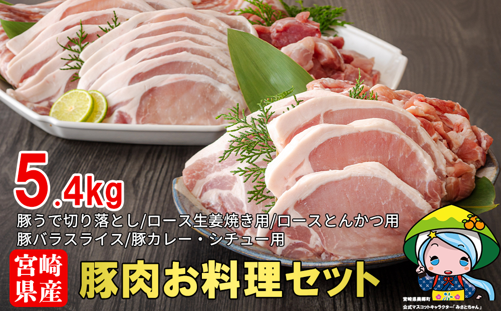 宮崎県産豚肉お料理セット5.4kg