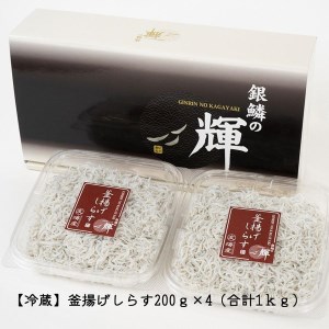 紀州湯浅湾直送！茹でたて釜揚げしらす　1kg（250g×4パック入）　