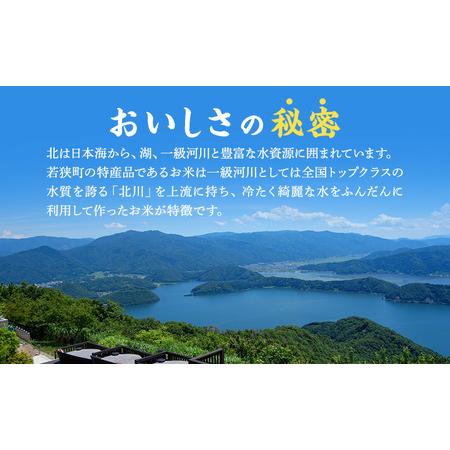 ふるさと納税 米 定期便 3ヶ月 農賊王のお宝分け 10kg 高島屋選定品 コシヒカリ こしひかり あきさかり イクヒカリ お米 おこめ こめ コメ 白米 .. 福井県若狭町