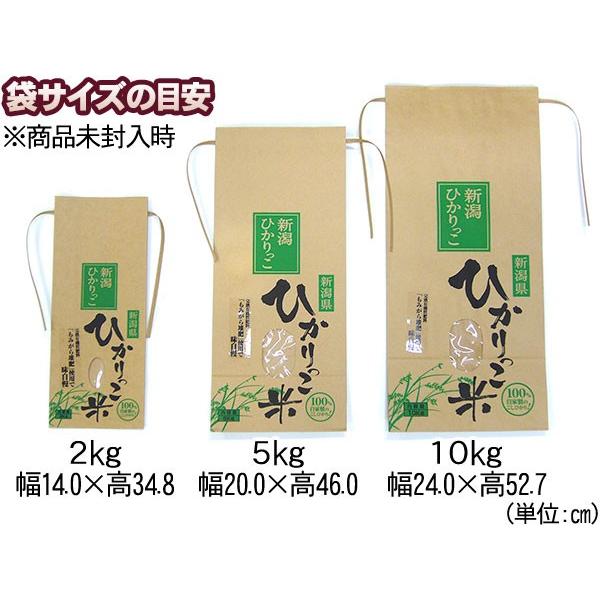 ((令和5年度))新潟ひかりっこ 新潟県産　特別栽培米　ひかりっこ米 10kg (2kg×5袋   5kg×2袋   10kg×1袋)