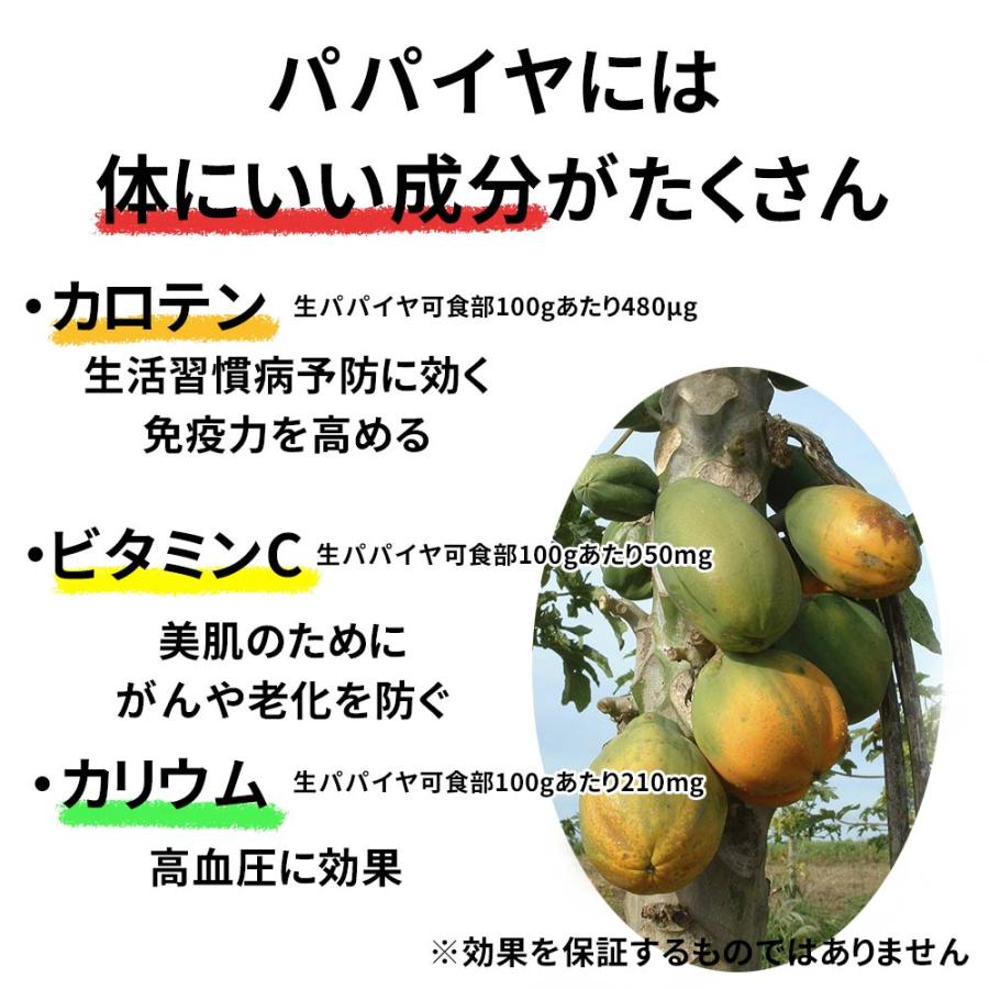 ライムパパイヤ ドライパパイヤ ライム果汁使用 甘みたっぷり 1kg タイ産 業務用 送料無料 ドライフルーツ パパイヤスティック 珍味工房しのや