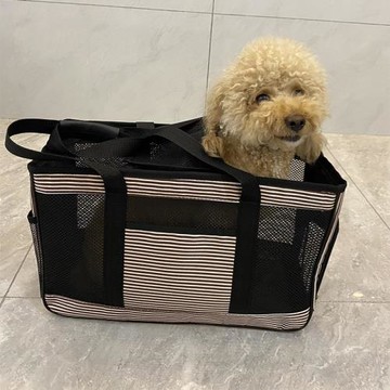 貓袋透氣網料貓包寵物包小型犬泰迪狗外出便攜狗包狗狗背包手挽袋