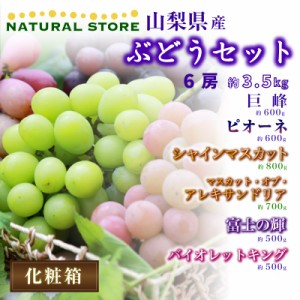 [最短順次発送]   ぶどうセット 6房 巨峰 ピオーネ シャインマスカット 富士の輝など  暑中見舞い   暑中見舞 残暑見舞 夏ギフト