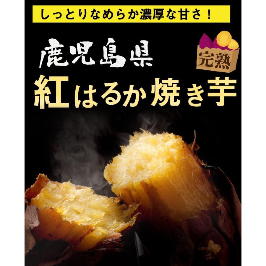 選べる焼き芋 500g×1袋 冷やし焼き芋 安納芋 シルクスイート 紅はるか 鹿児島県産 送料無料 クール