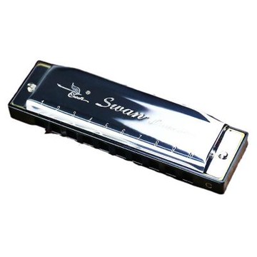 天鵝銀色10孔C調布魯斯口琴 初學者專業演奏 口琴入門樂器 Blues