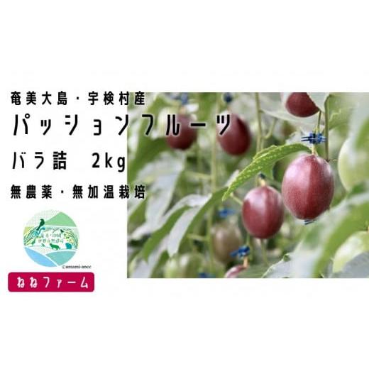 ふるさと納税 鹿児島県 宇検村 2024年６月〜出荷開始・パッションフルーツ(バラ詰　2キロ)