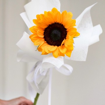 【ELLESHOP】畢業禮物、畢業花禮🌻 (限雙北配送) 白色花藝-單支向日葵/ 太陽花 鮮花束