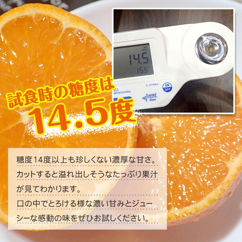 送料無料 愛媛県産 せとか 愛媛みかん 愛媛県せとか 大きさお任せ 大きさ 混合 約 2kg 箱買い ご家庭用 みかん 紅マドンナ 果物 くだもの フルーツ 訳あり