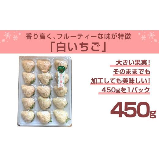 ふるさと納税 佐賀県 唐津市 『予約受付』白い宝石 白いちご 450g 贈答用 いちご 苺