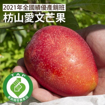 【盧家枋山芒果】銷日嚴選 產銷班 愛文芒果禮盒(2.5kg/9-12顆/送禮/產銷履歷認證/郵局快捷常溫配送)