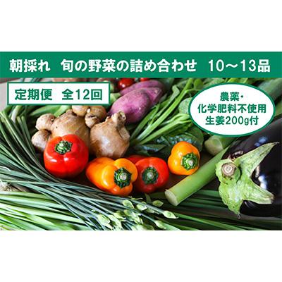 ふるさと納税 香美市 旬の野菜と栽培期間中農薬不使用の生姜付き全12回