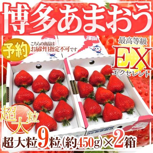 福岡産いちご ”博多あまおう” 最高等級EX（エクセレント） 2箱（超特大粒 1箱9粒 約450g） 送料無料