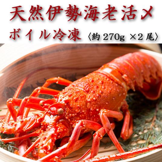 天然伊勢海老活〆ボイル冷凍　250g×２尾