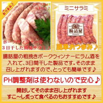 ふるさと納税 茅野市 腸詰屋のおつまみ 5点 セット 詰め合わせ