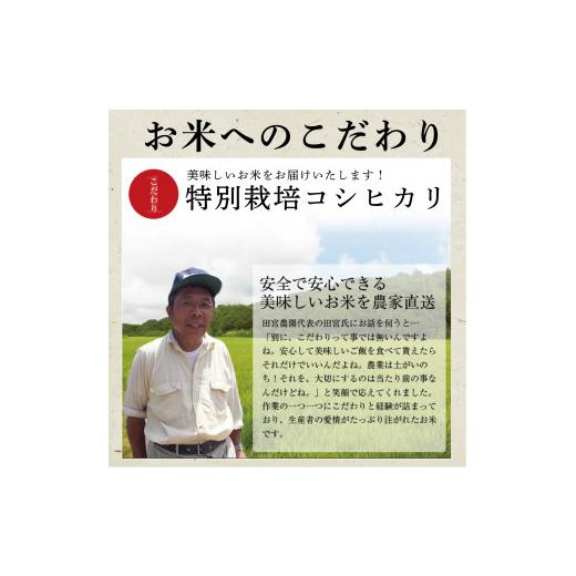 ふるさと納税 茨城県 行方市 L-9 　令和5年産田宮さんちのコシヒカリ 5kg×12回